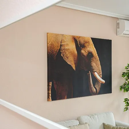 Apartment Casa Terra: 50 Meters From The